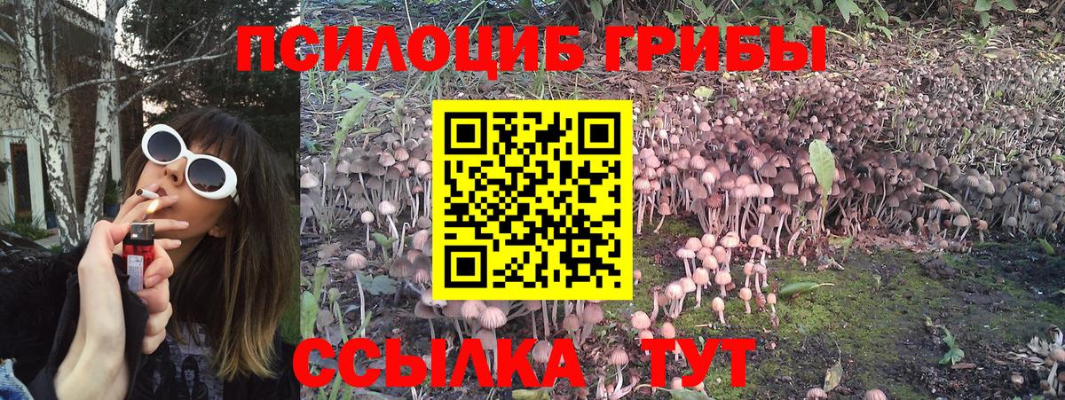 Белая Калитва  дарнет шоп  Псилоцибиновые грибы Psilocybe  Вход с VPN  Галлюциногенные грибы Psilocybine cubensis 